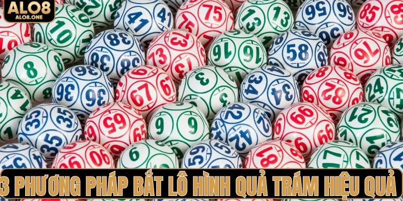 3 Phương pháp bắt lô hình quả trám hiệu quả