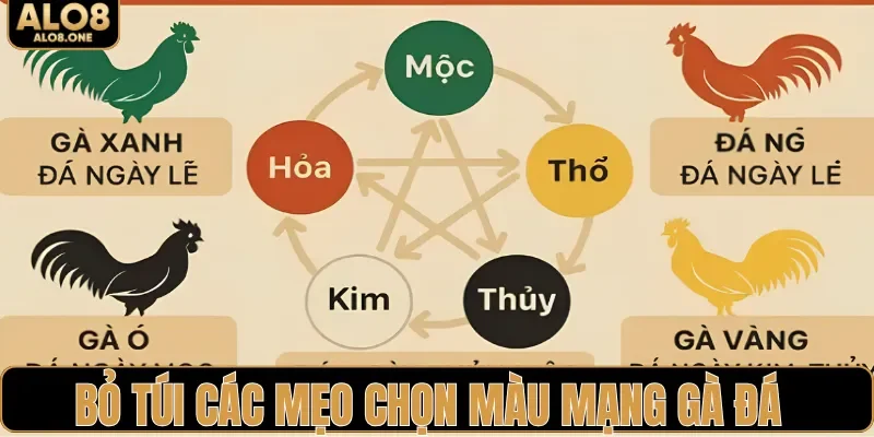 Bỏ túi các mẹo chọn màu mạng gà đá hiệu quả