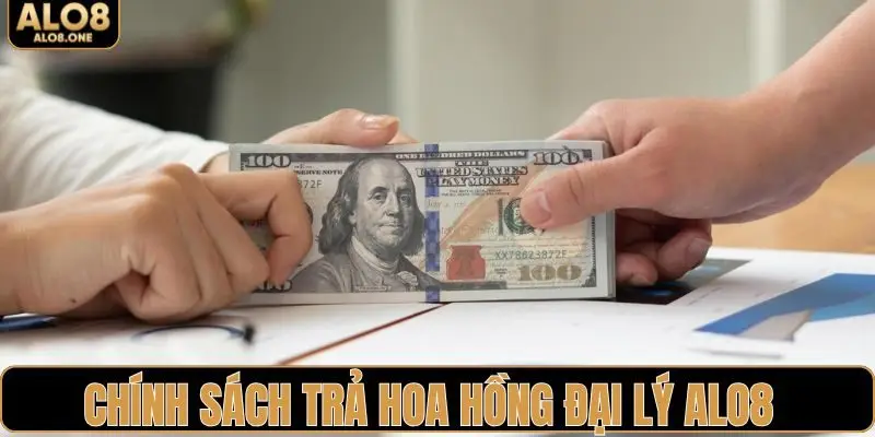 Chính sách chi trả hoa hồng của mạng lưới đại lý