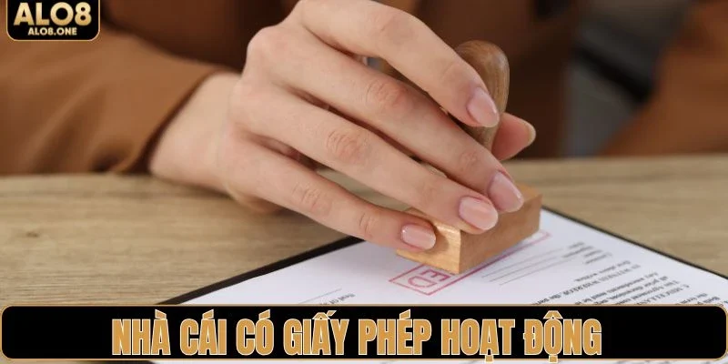 Đánh giá công tâm về nền tảng giải trí trực tuyến