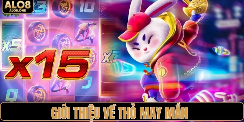 Đôi nét về thỏ may mắn
