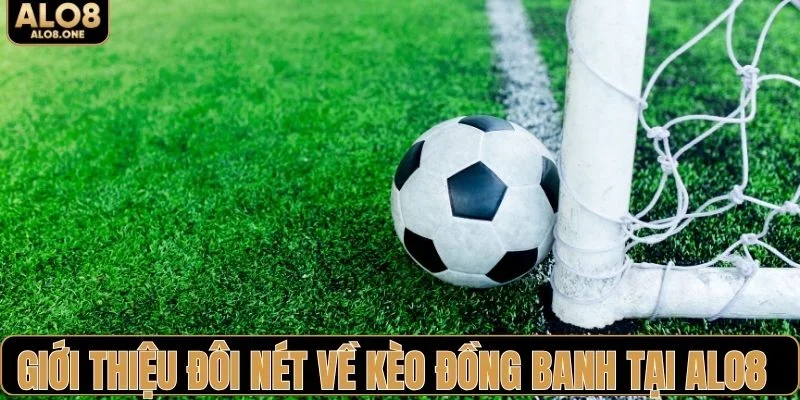 Giới thiệu đôi nét về kèo đồng banh tại ALO8