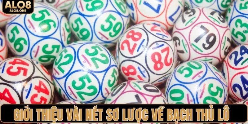 Giới thiệu vài nét sơ lược về bạch thủ lô