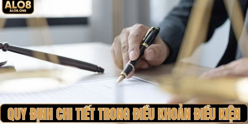 Hệ thống quy định chi tiết trong điều khoản điều kiện