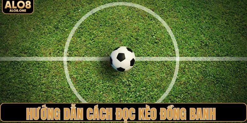 Hướng dẫn cách đọc kèo đồng banh chi tiết từ ALO8