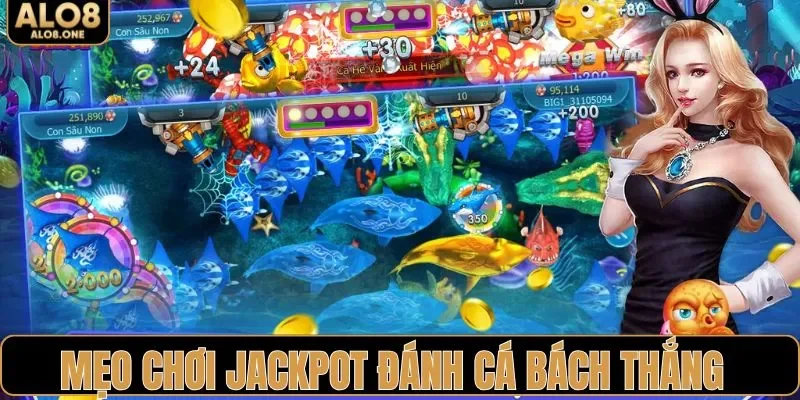 Mẹo trải nghiệm jackpot đánh cá bách thắng