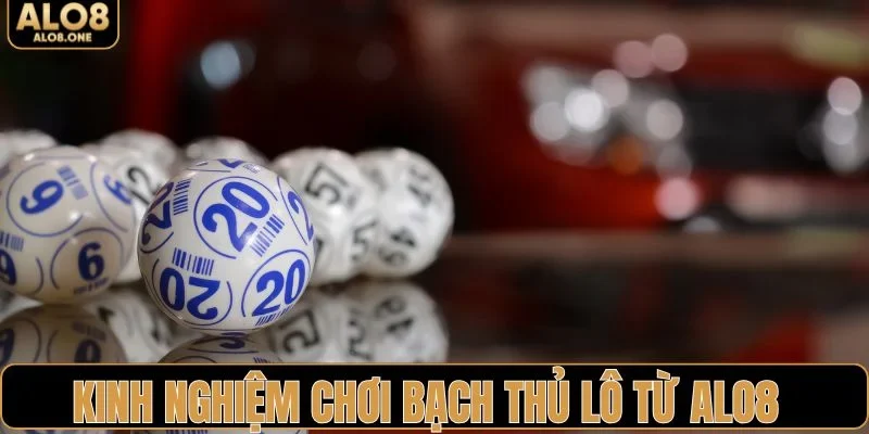 Những kinh nghiệm chơi bạch thủ lô từ chuyên gia ALO8