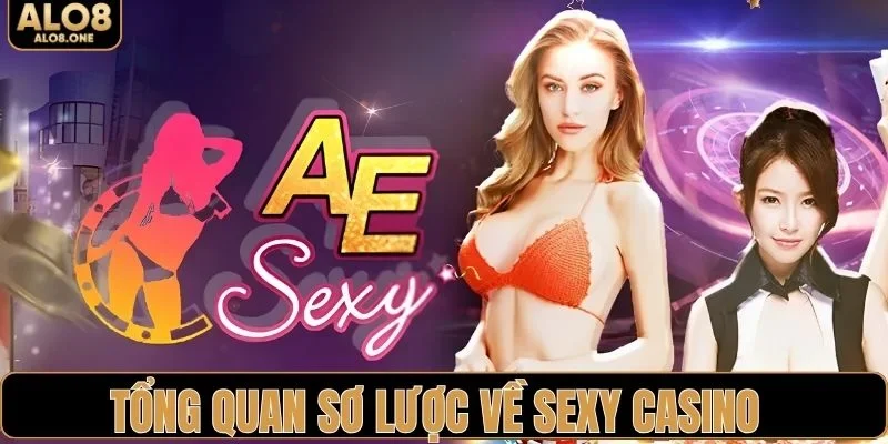 Tổng quan sơ lược về sexy casino